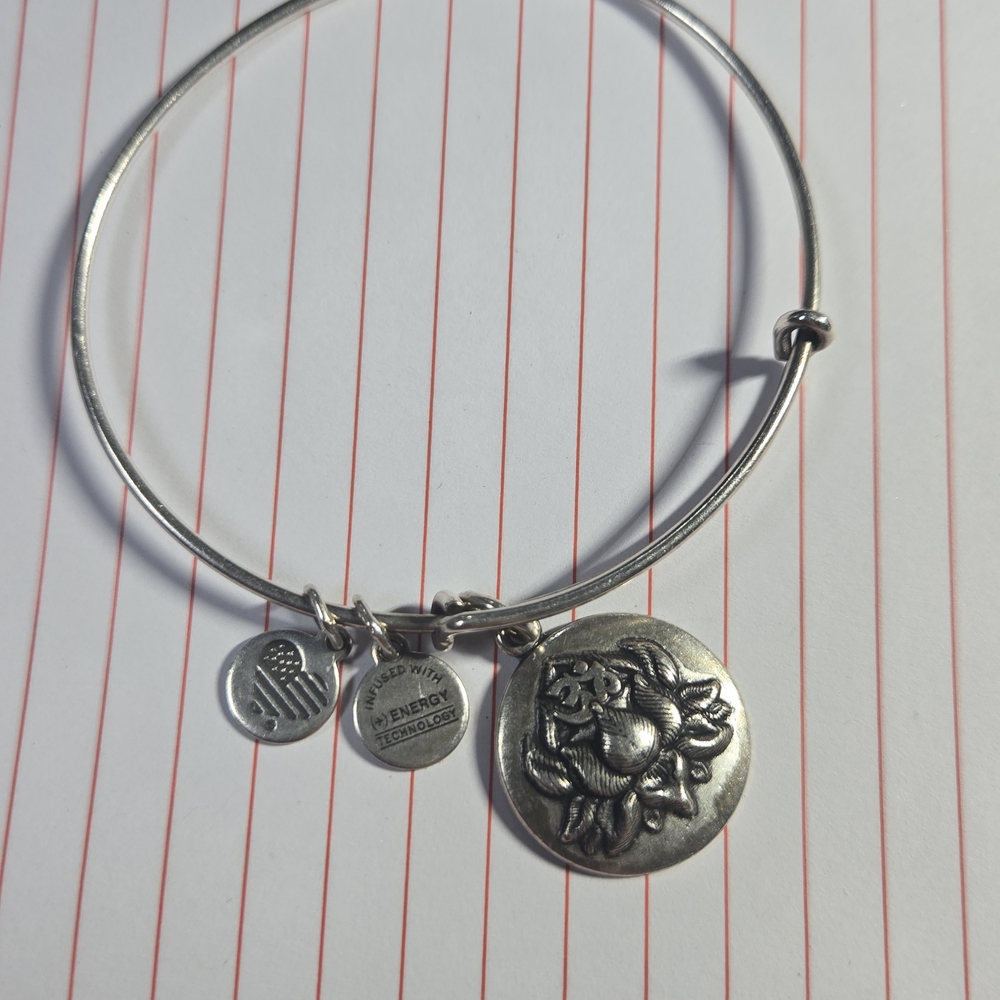 Alex and Ani Silver Charm Bracelet